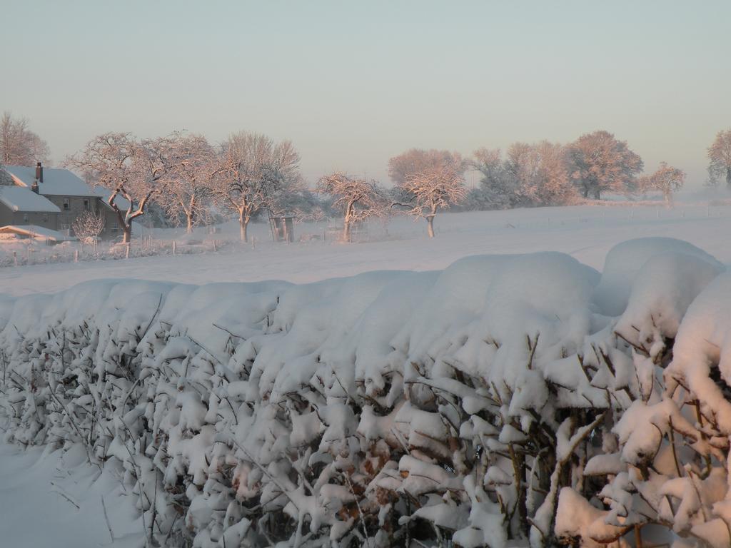Du Cote De Chez Jeanne, Suite Verviers Exteriör bild