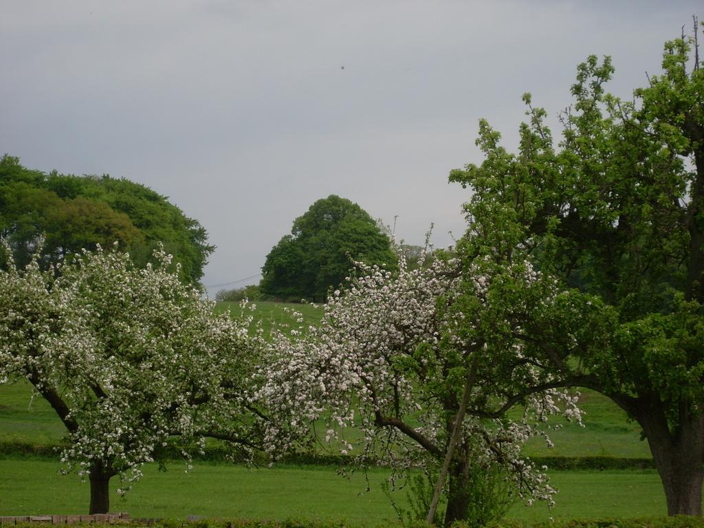Du Cote De Chez Jeanne, Suite Verviers Exteriör bild